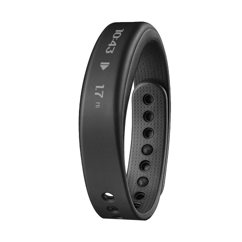 vivosmart large