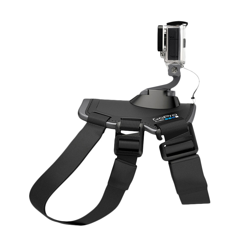 Jual GoPro Fetch Dog Harness di Seller Focus Focus