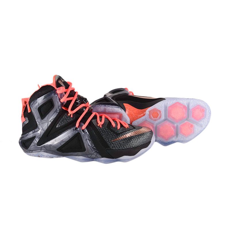 lebron 12 elite team