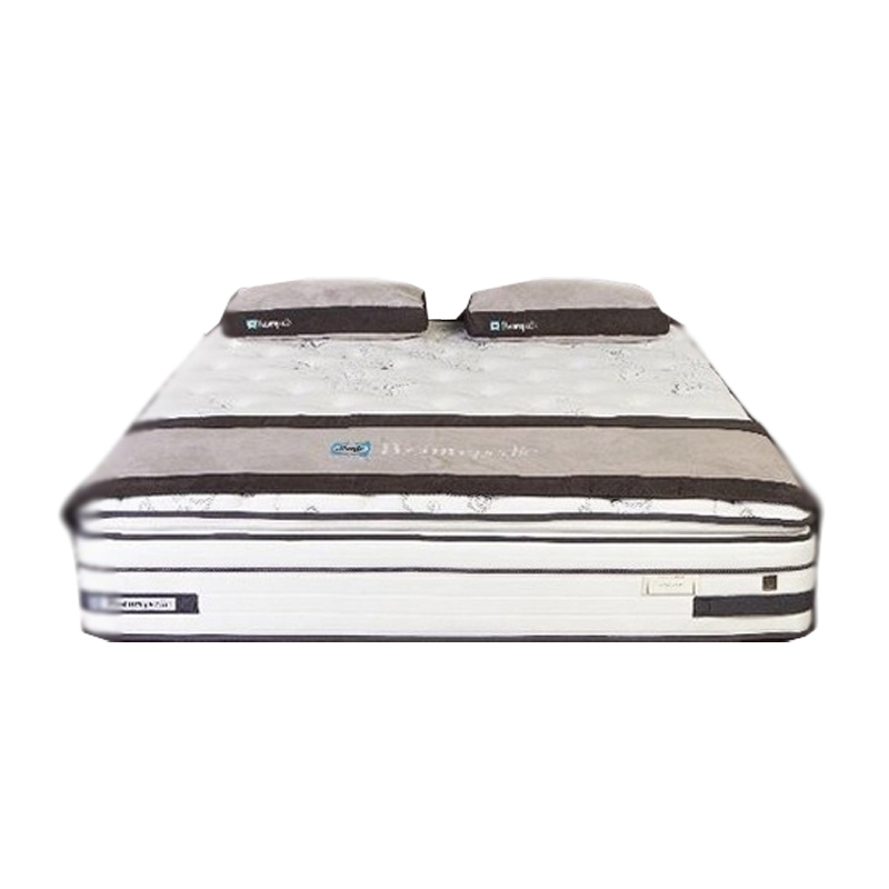 Harga clearance sealy posturepedic