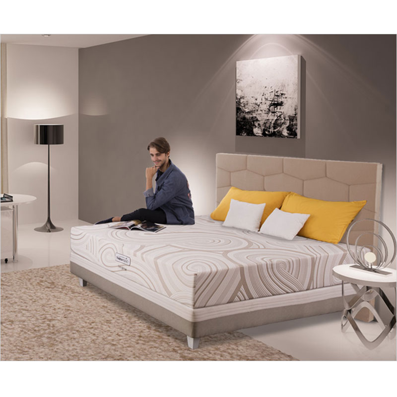 Therapedic Backsense Mattress