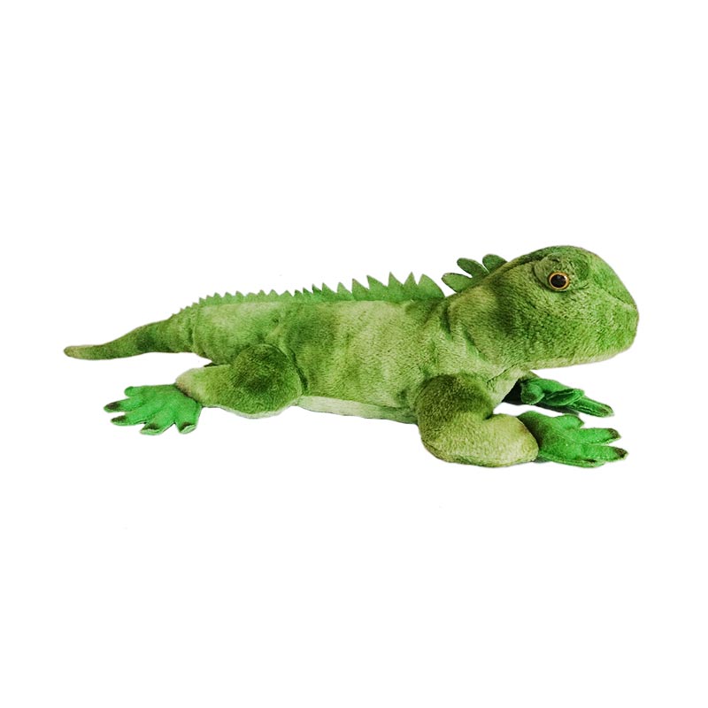 Grup Jual Beli Iguana Pecinta Gambar Hewan