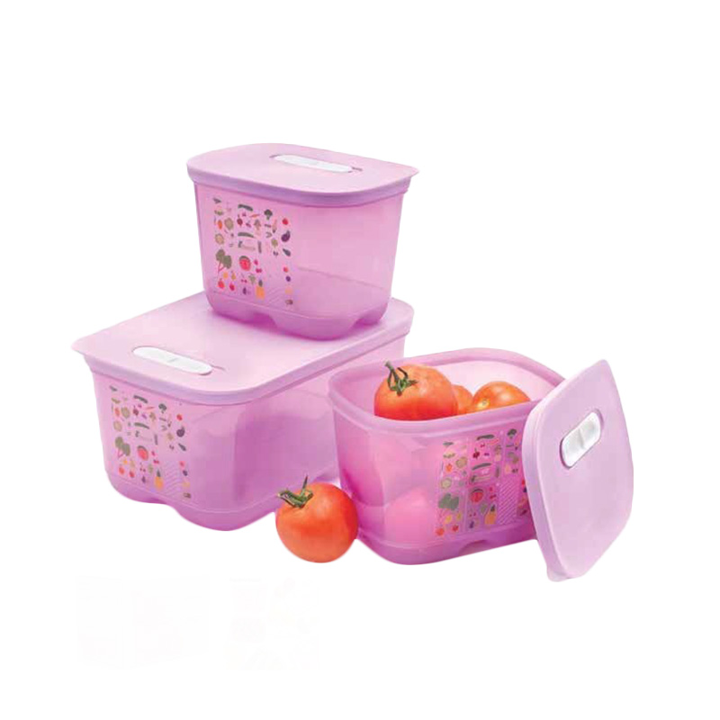 Jual Tupperware Ventsmart Set Tempat Penyimpanan Makanan