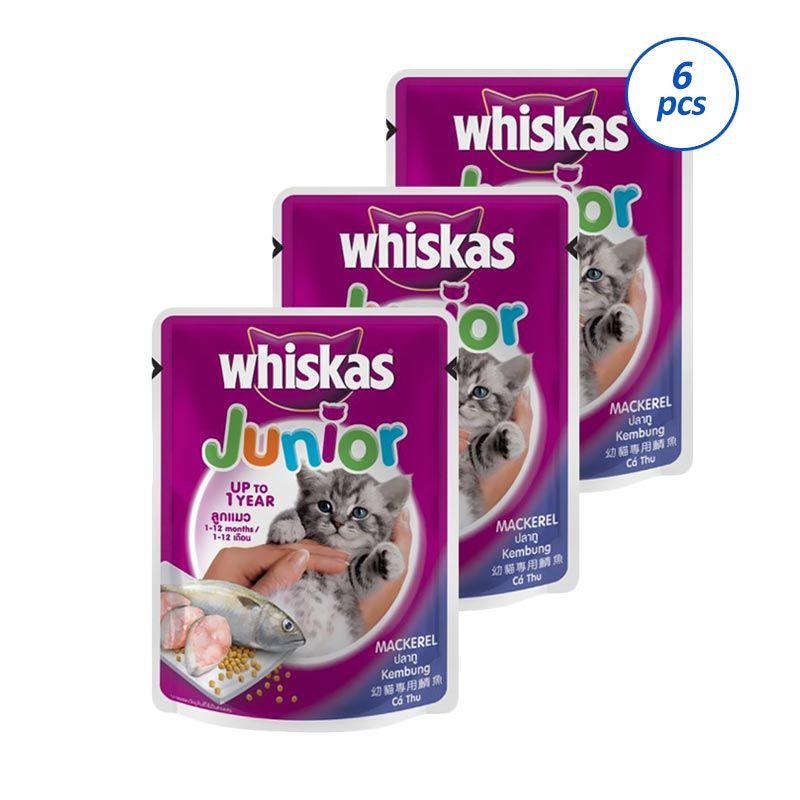 Jual Whiskas Kitten Junior Mackerel Makanan Kucing 6 Pcs 85 Gr