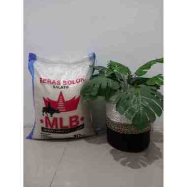 Beras Padang Solok Anak Daro 10 Kg