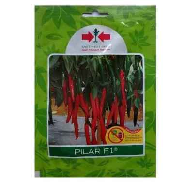 FreeOngkir 125 Butir Bibit Benih Cabai Cabe Merah Besar PILAR F1