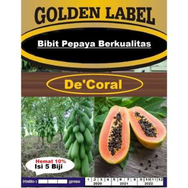 Bibit Pepaya Berkualitas | Benih Pepaya