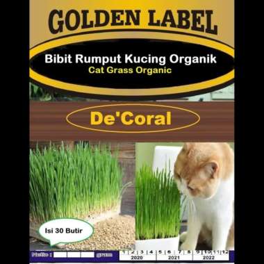 Bibit Rumput Kucing Organik | Cat Grass Organic | Benih Rumput Kucing