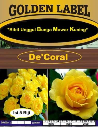 Bibit Unggul Bunga Mawar Kuning | Benih Bunga Mawar Kuning