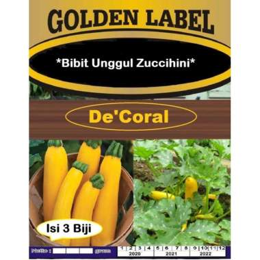 Bibit Unggul Zucchini Kuning | Benih Zucchini Kuning