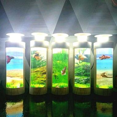73 Dekorasi Unik Aquarium Terbaru