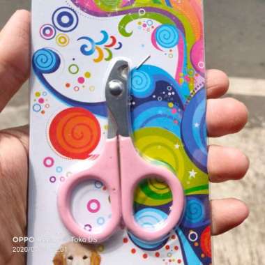 Cat Warna Kuku Terbaru November 2021 - Harga Murah u0026 Gratis Ongkir