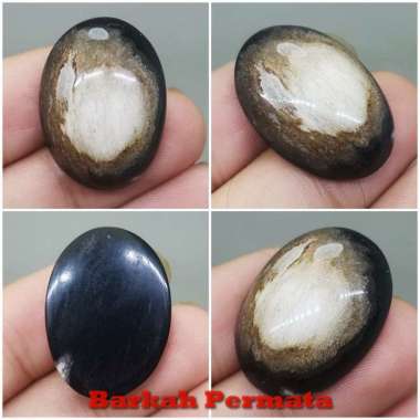 Fosil Batu Akik Galih Kelor Unik Asli hitam coklat
