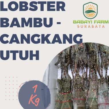 Lobster Air Laut Bambu Hijau - Cangkang Utuh 1 Kg