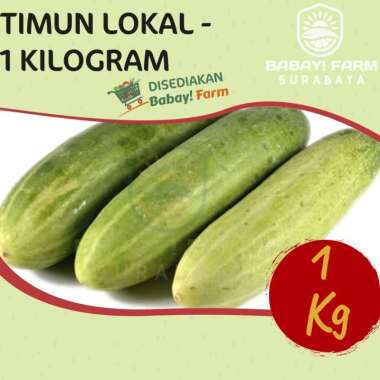 Timun Lokal Lalap / Mentimun Acar - 1 Kg