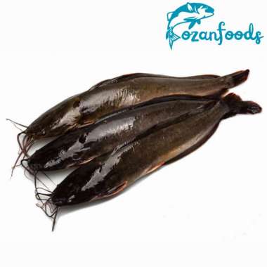 Ikan Lele 1 kg
