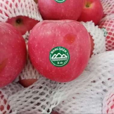 buah apel fuji wangsan 1kg