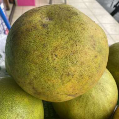 jeruk pamelo -jeruk bali manis segar jumbo per buah