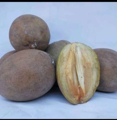 buah sawo madu manis 1kg