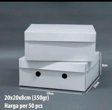 Kotak Nasi Box Nasi 18x18x8 ( 50set) 18x18x8  + Mika