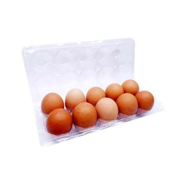Promo Harga Telur Ayam Negeri 10 pcs - Blibli