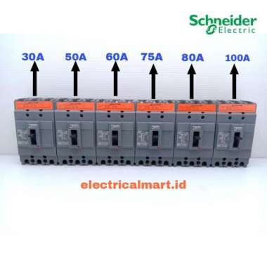 Schneider EasyPact MCCB 30A 50A 60A 75A 80A 100A 100A