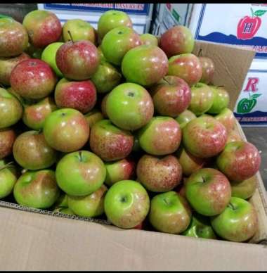apel malang apel lokal fresh manis segar 1kg