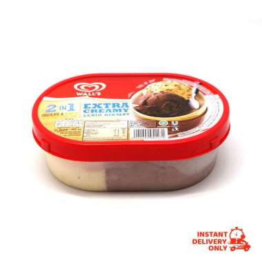Promo Harga Walls Ice Cream Chocolate & Vanilla with Chocolate Chip 700 ml - Blibli