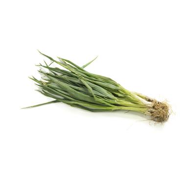 Jual Eden Farm Selada Butterhead Sayuran Hidroponik 250 G