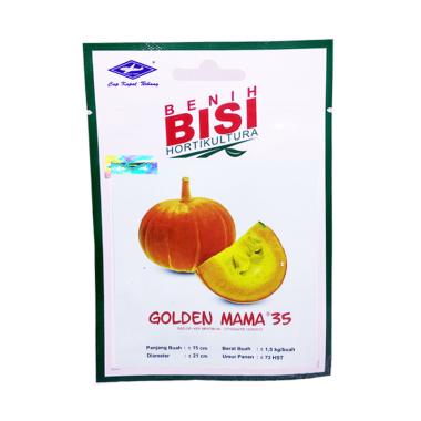 Bibit Tanaman Buah Labu Kuning Terbaru Di Kategori