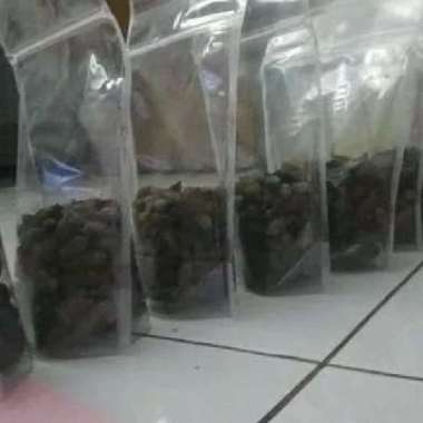 satu kantong biji Ketapang kencana - biji Pohon Ketapang kencana