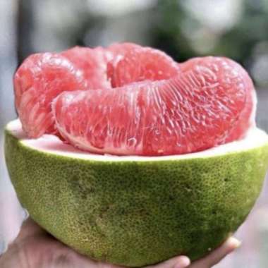 Jeruk bali pamelo segar 1kg
