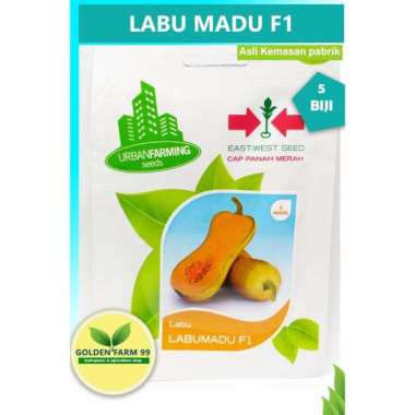 Benih bibit labu MADU F1 Panah merah harga terjangkau