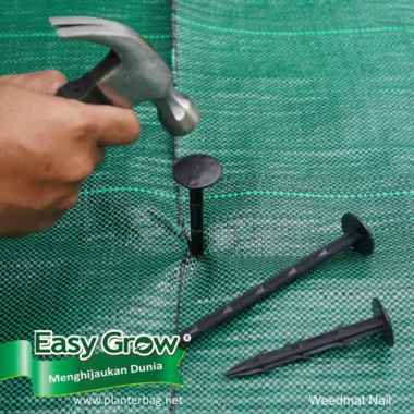 Paku weedmat ukuran 3.3 cm x 16 cm Easy Grow