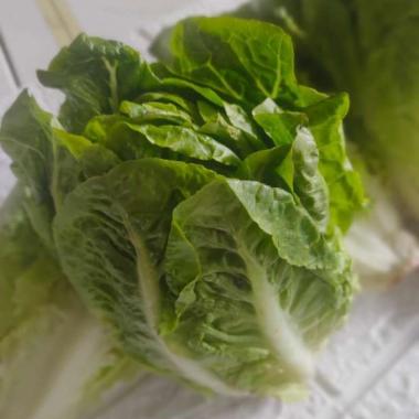 Sayur Romaine Segar 1 Kg