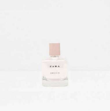 Harga zara orchid clearance