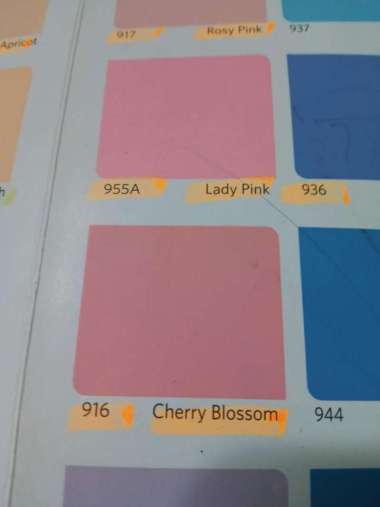 Cat Tembok 916 Cherry Blossom Pink Vinilex 5 kg Interior Dinding Rumah
