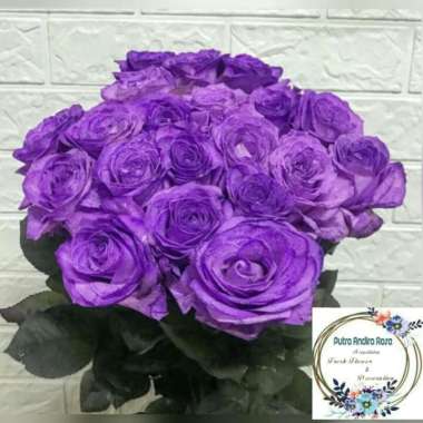 rangkaian bunga mawar ungu