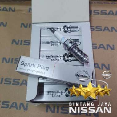 Busi Iridium Teana Elgrand Murano Xtrail T30 Serena C24