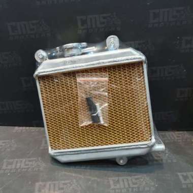 Radiator BPRO Yamaha Aerox
