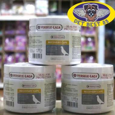 Recovery Caps 350 Capsule Recovery Sakit/Kelelahan Penerbangan Merpati