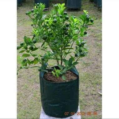 Planter Bag 25 Liter Hijau