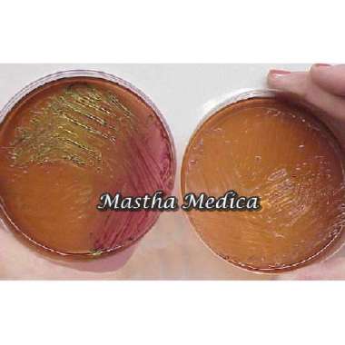 Plate Media Eosin Methylene Blue Agar Alat Lab 1 Pack