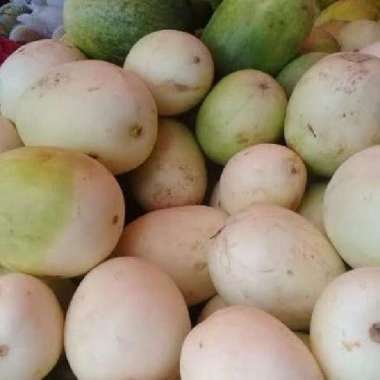 Timun suri manohara 1 kg