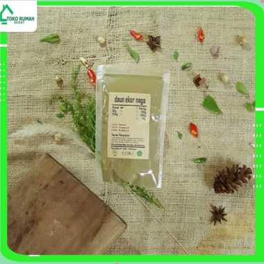 DAUN EKOR NAGA BUBUK 1 KG - Rhaphidophora Pinnata - MURNI - JSR