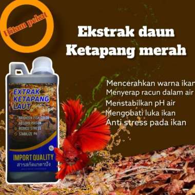 ekstrak daun ketapang 1 liter/ekstrak Ketapang laut merah pekat hitam