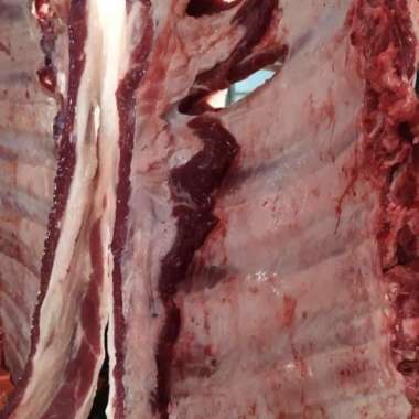 DAGING SAPI SEGAR BAGIAN TULANG IGA 1Kg 100% HALAL SEHAT