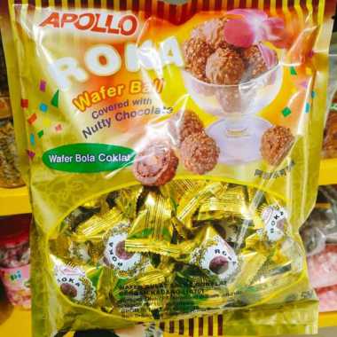 Biskuit Roka
