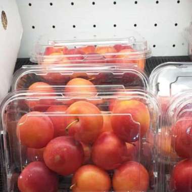 Buah Cherry Tasmania Premium Size 34 36