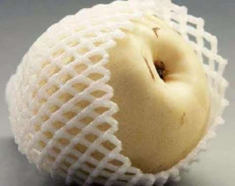 Foam Net Kecil Jaring Buah Busa Polynet